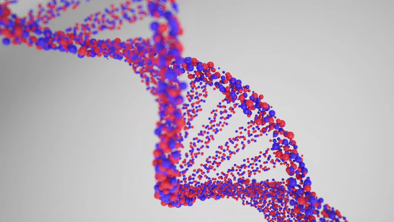 3d render abstract dna strand made of red and blue spheres on white background