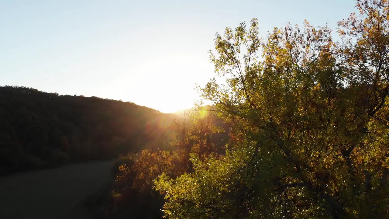 Aerial epic drone shot of sun rays in grass field surrounded by forest at sunset-9