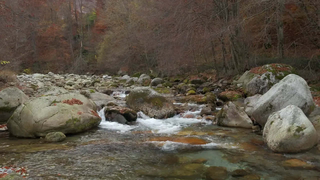 Autumn river in mountain forest with yellow and red foliage trees