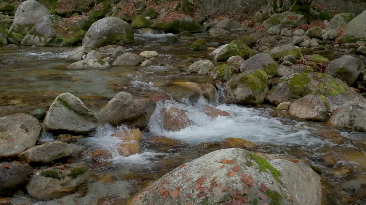 Autumn river in mountain forest at slow motion with yellow and red foliage trees