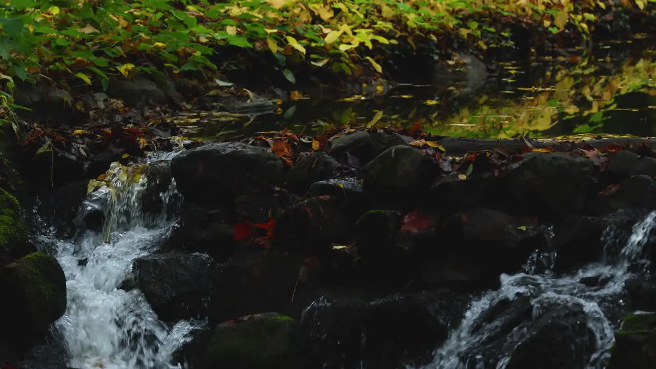 small waterfall in the middle of the forest in fall