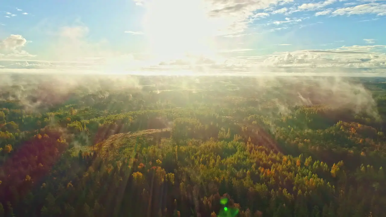 A colorful autumn forest on a bright but dramatically foggy mist morning pull back aerial flyover through the clouds