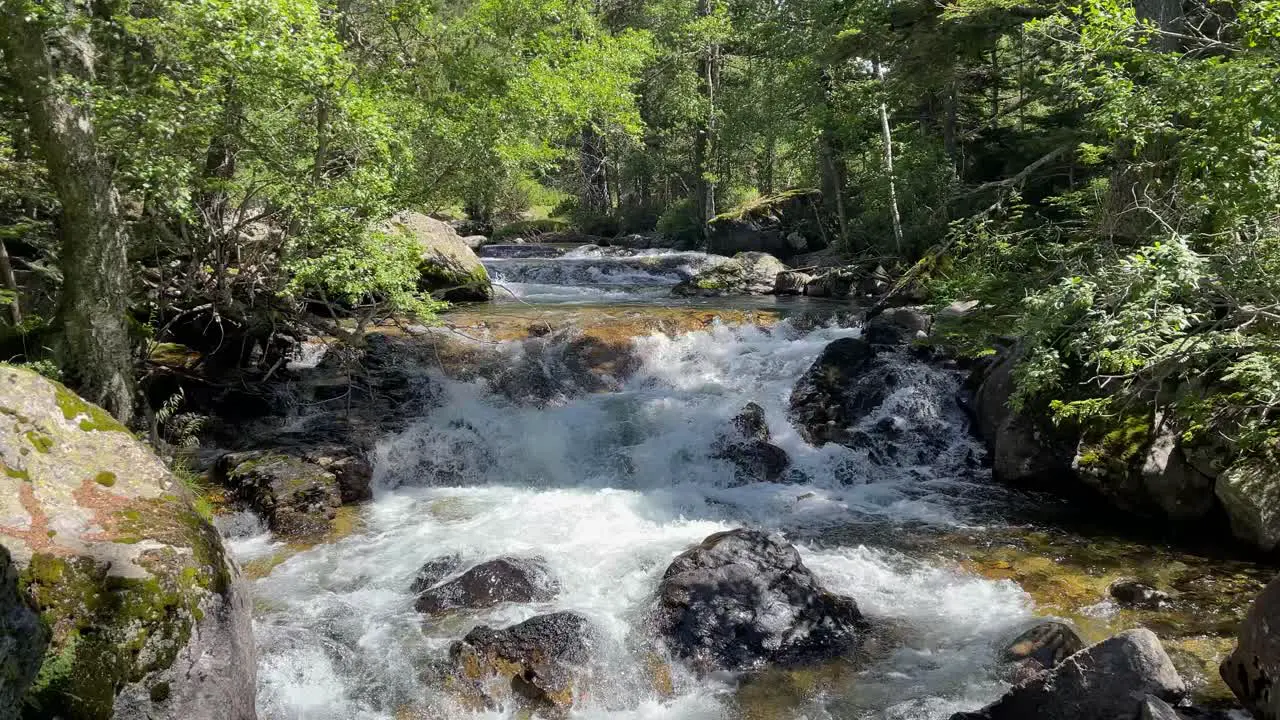 Aigüestortes National Park Spain protected nature lerida catalunya Beautiful mountain river with crystal clear water thaw