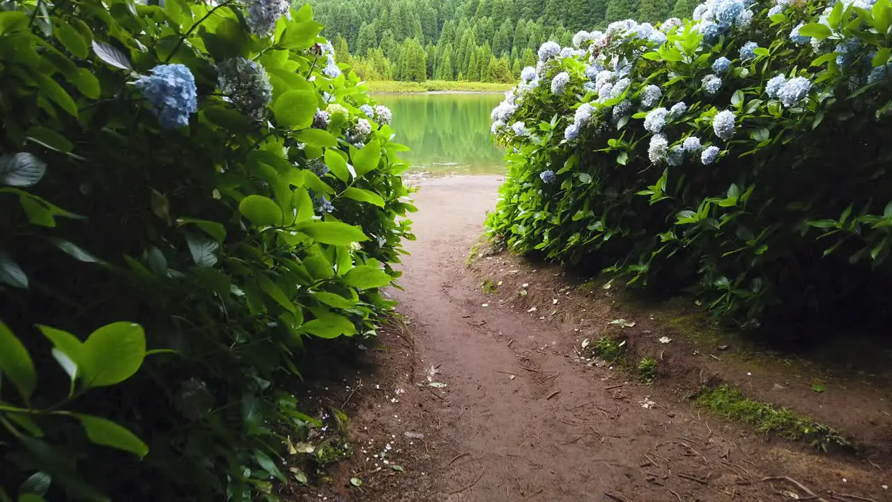 Hiking Tour through Nature in the Azores ended at Stunning Crater Lake