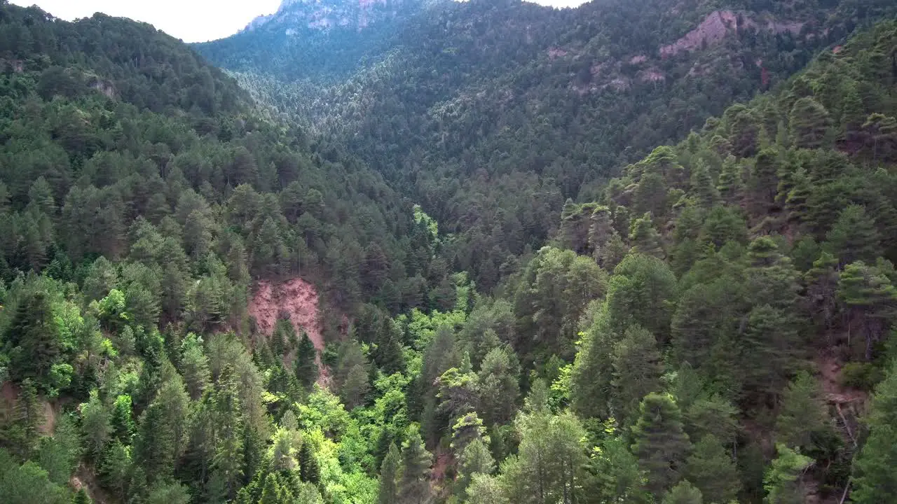 Slow leading drone shot of a valley with green pine trees