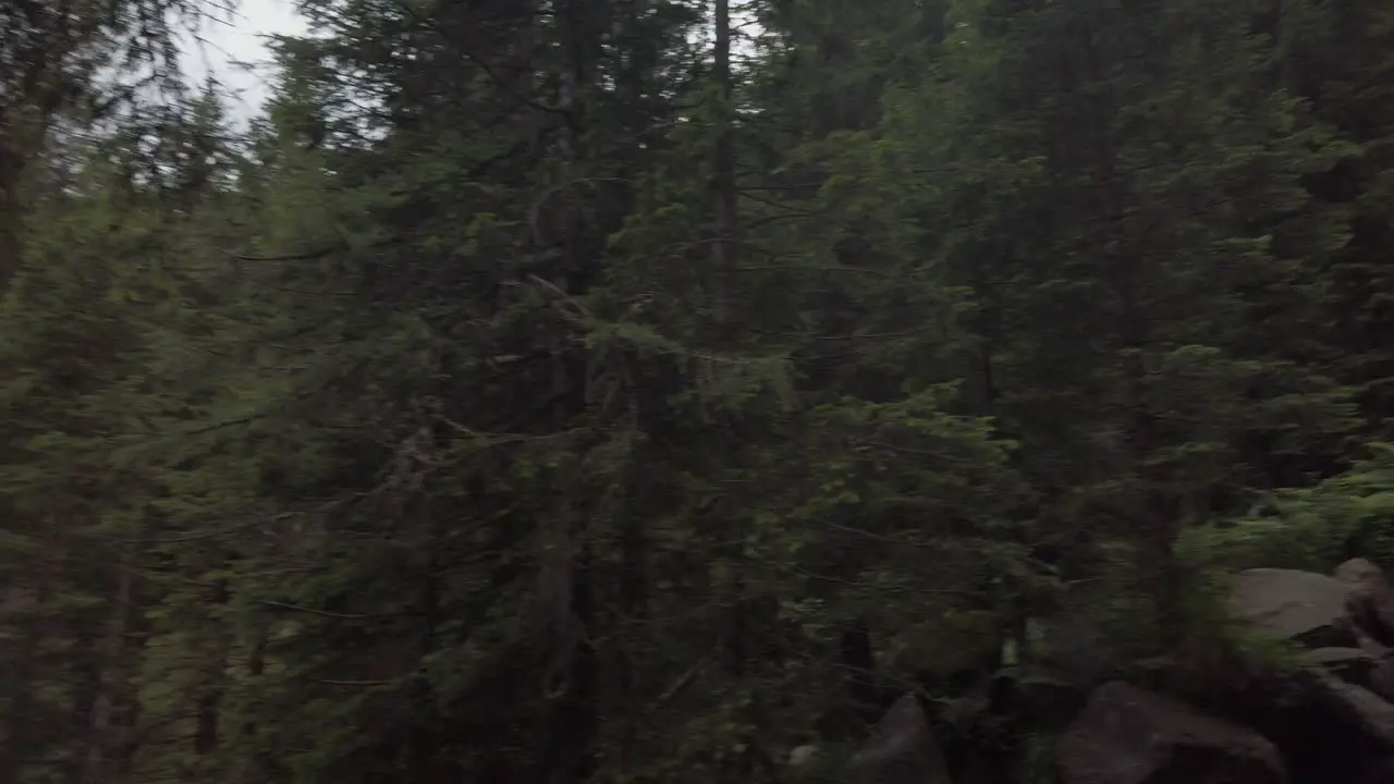 Small waterfalls falling on rocks with trees in background