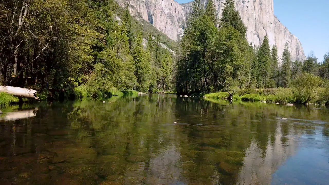 Drone video from a lake in the middle of a jungle in sunny day