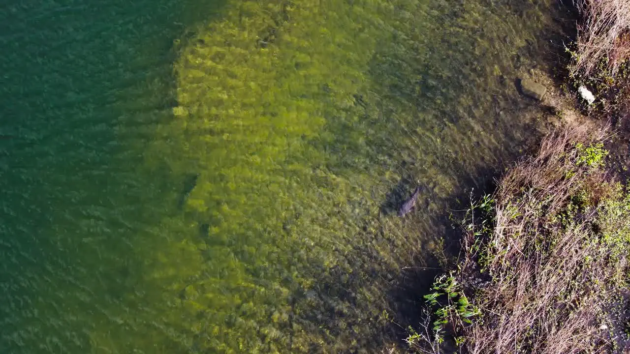 Aerial shot of lake with island shot