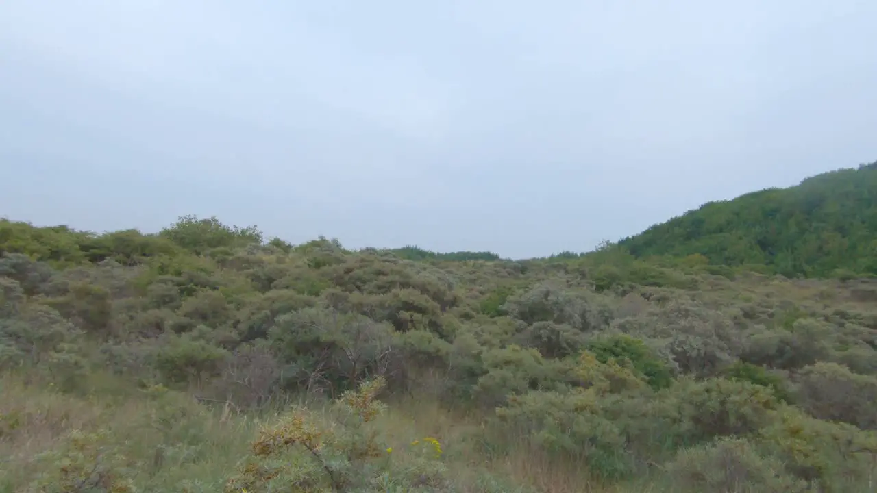 4K Nature next to the beach of Zoutelande Groot Valkenisse Zeeland Netherlands