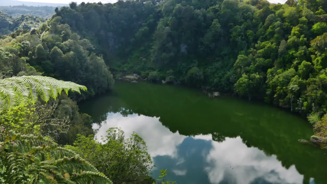 Aerial top down of tranquil natural lake surrounded by lush nature of New Zealand in Summer