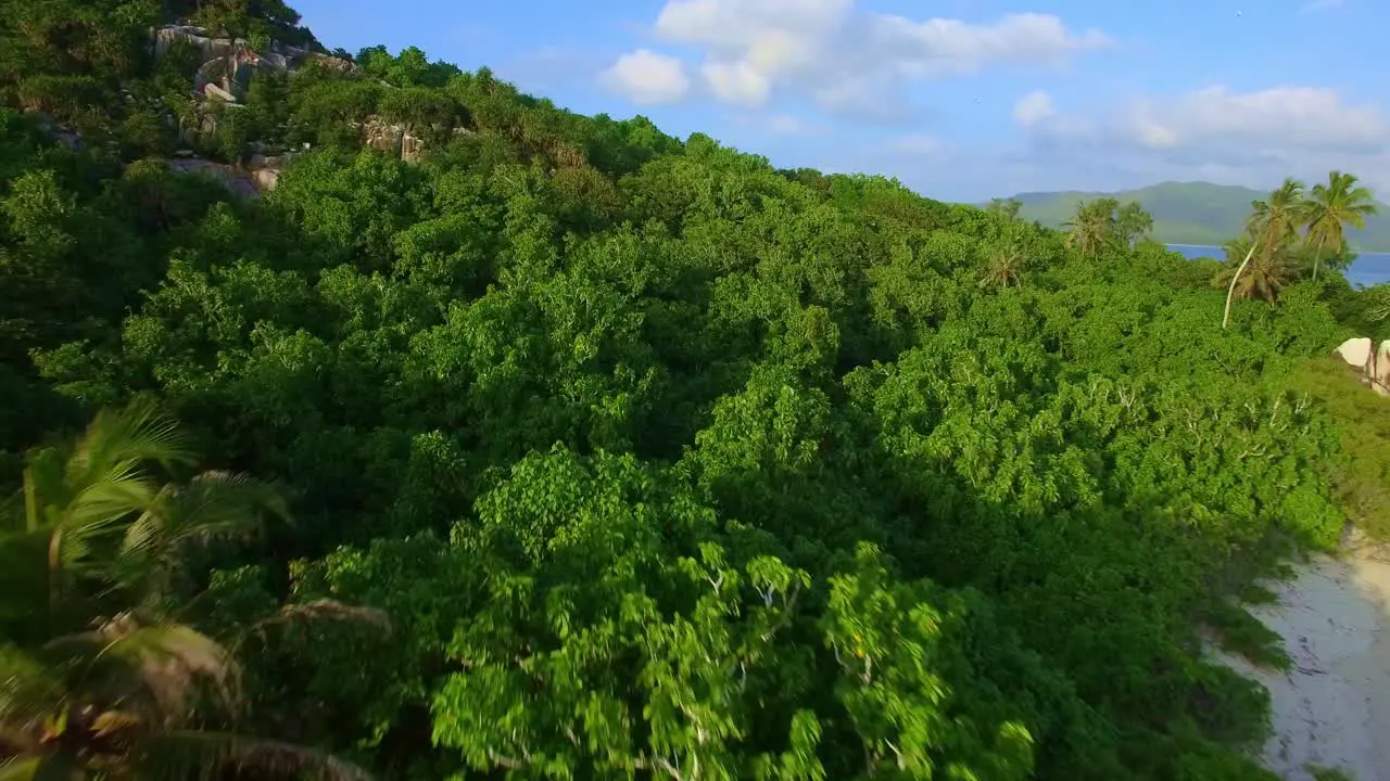 Birds flying over remote tropical island