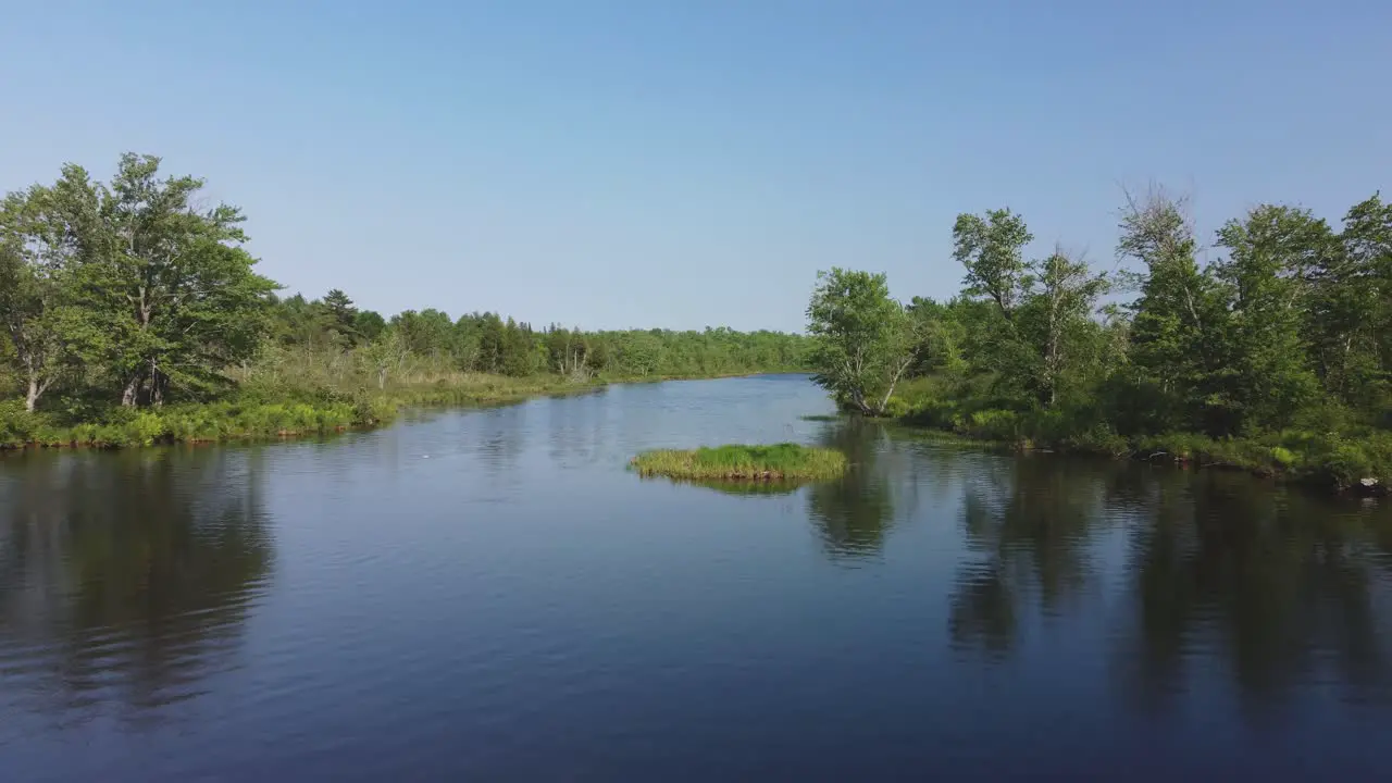 Push in drone river view surrounded by forest and trees at golden hour Buckhorn04