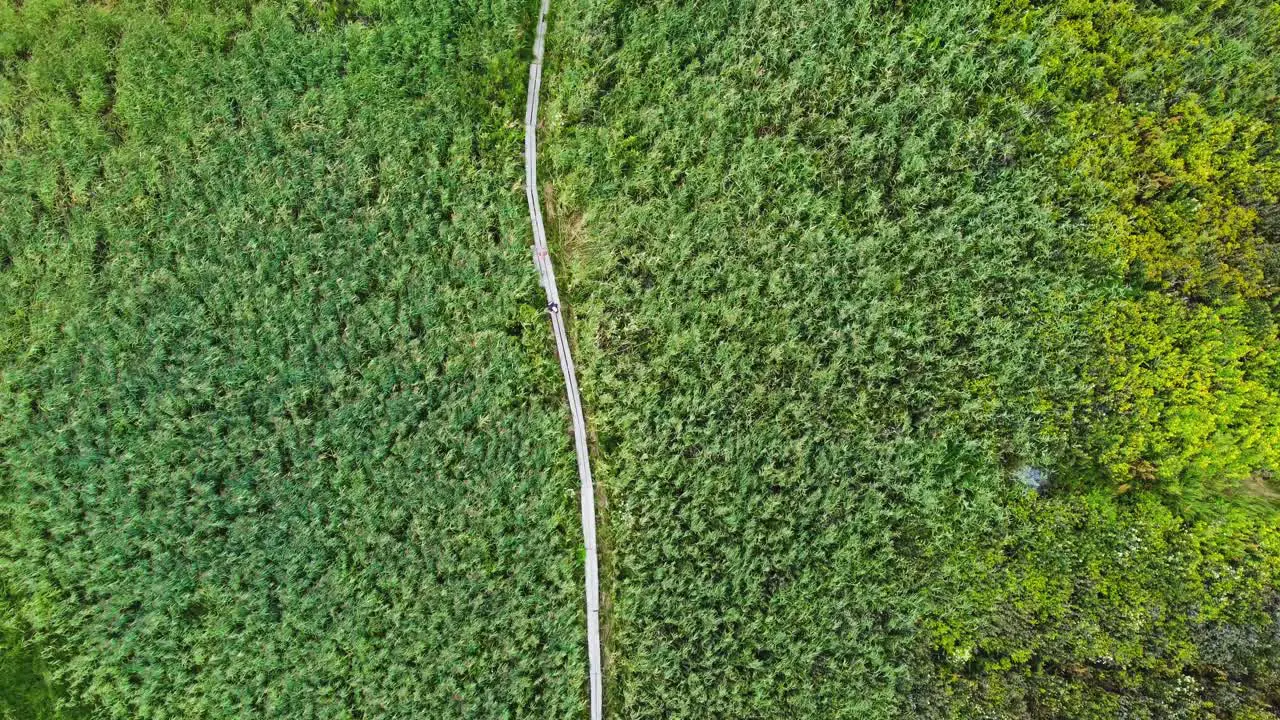 Two persons walking on old duckboards