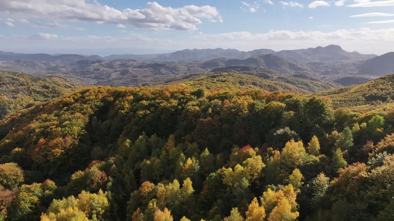 Beautiful scenery in a sunny autumn day