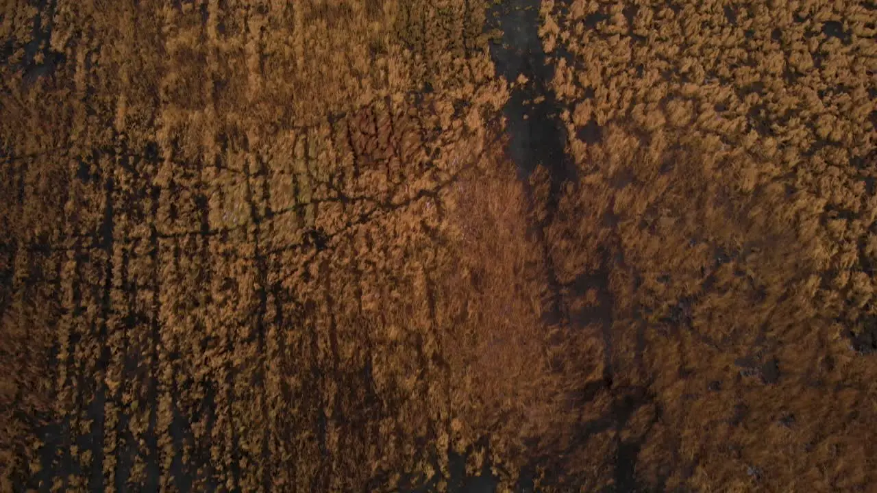 Flying Over Wetlands In Nature Reserve Aerial Topdown