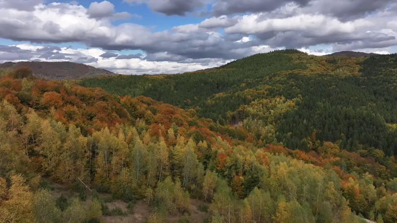 Beeautiful autumn colours seen from the sky