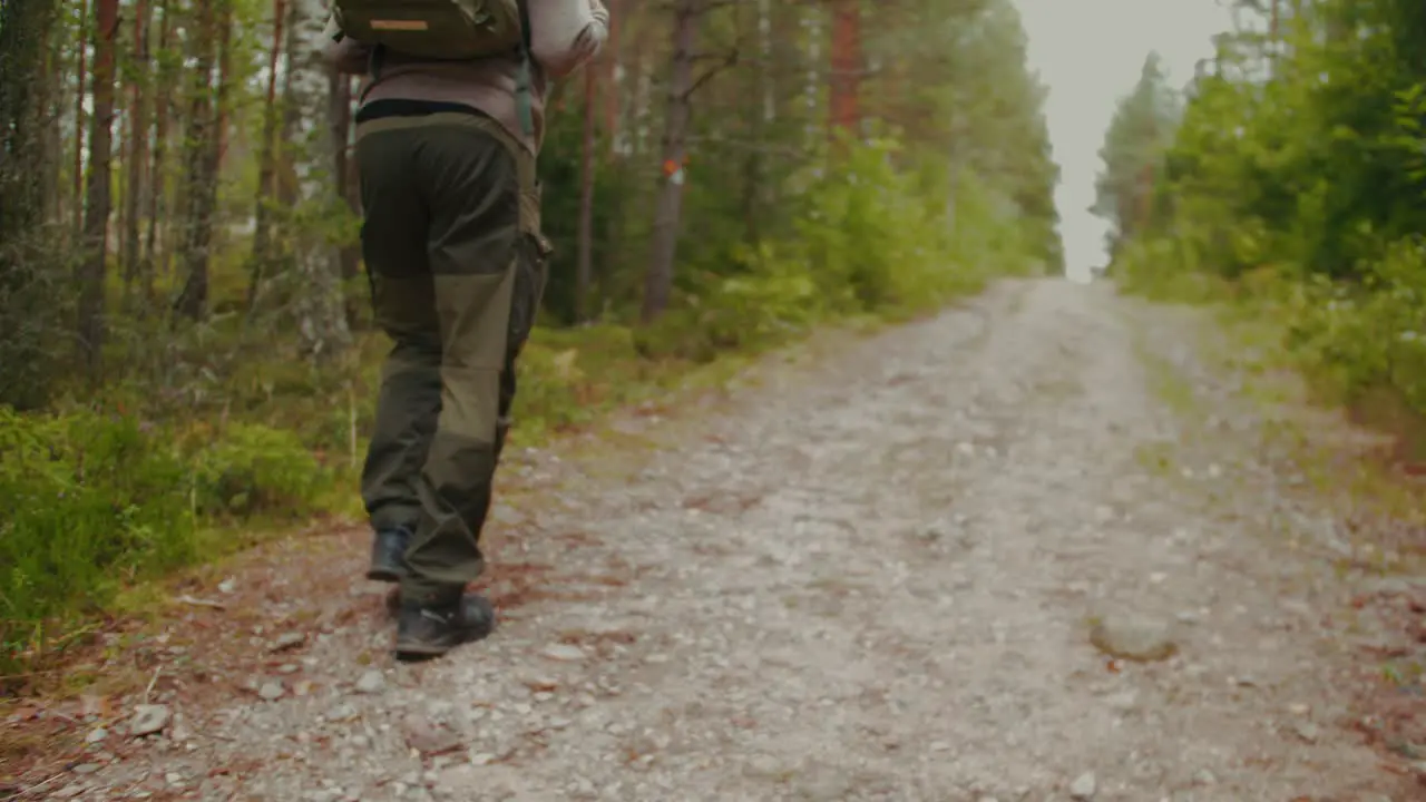 Finland Guy Walking in the Forest 4K