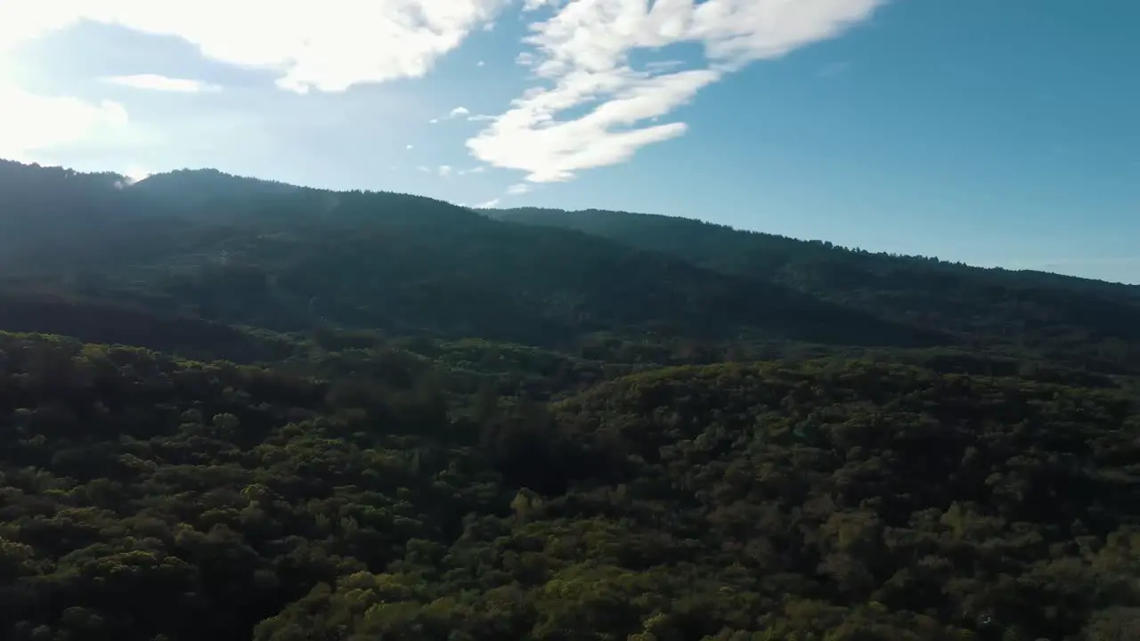 Drone aerial flyover California mountains and forest Bay Area green trees and lens flare