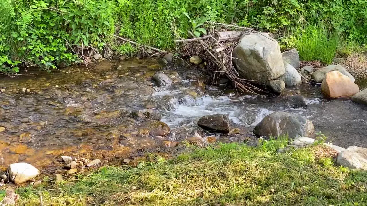 Small Pristine Stream Flows In The Woods Croatia