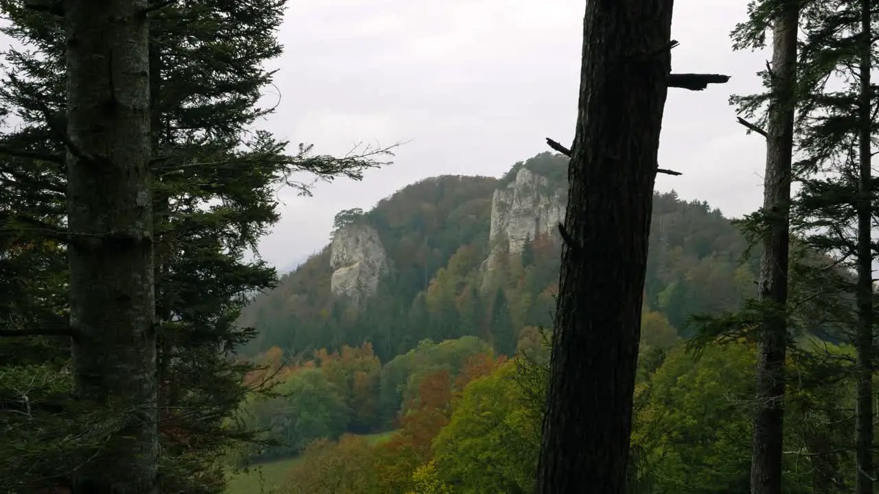 Rocks as seen from the forest