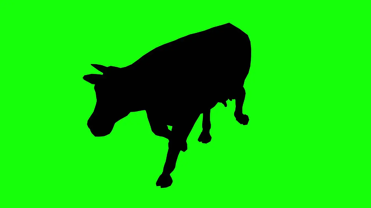 Silhouette of a cow walking on green screen perspective view