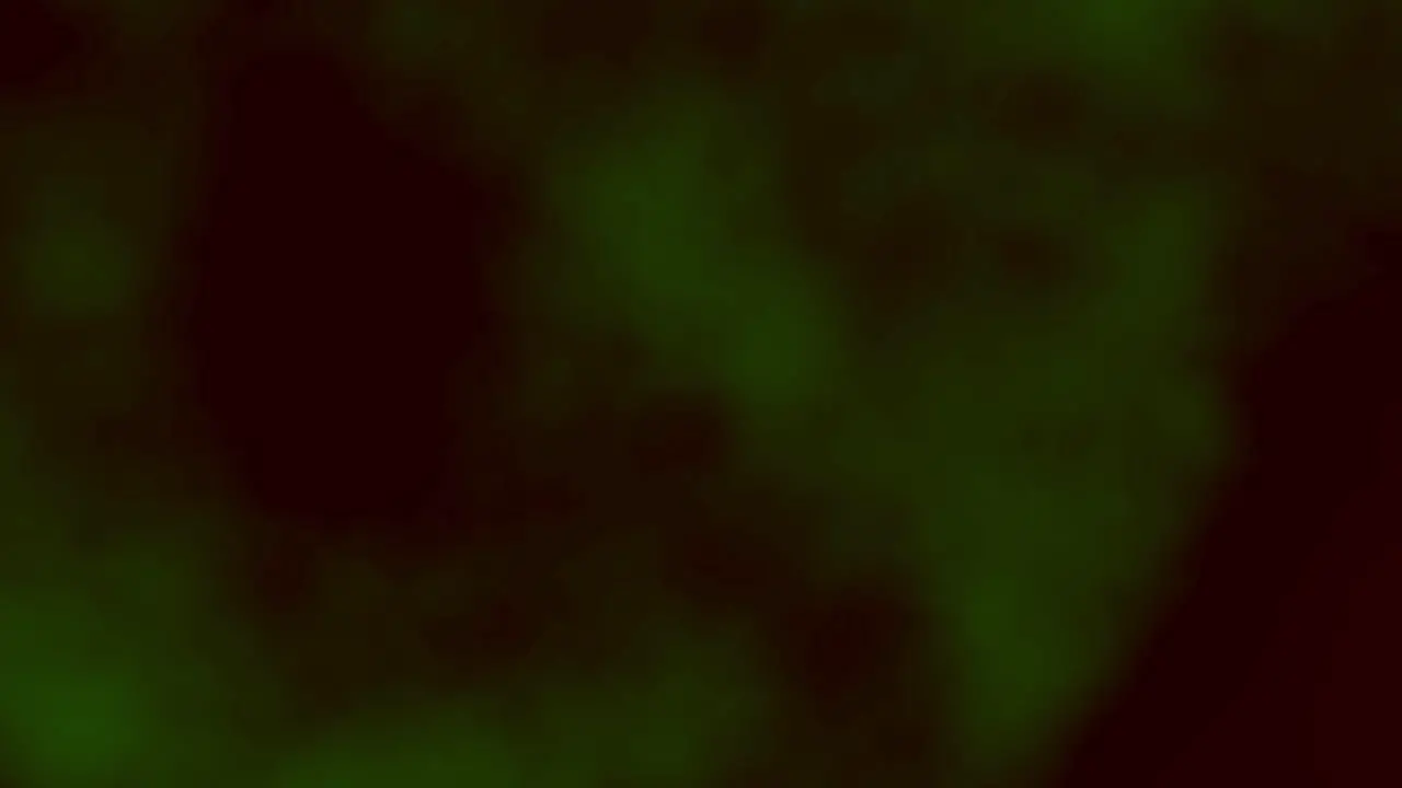 Animation of fast green toxic fumes on black background