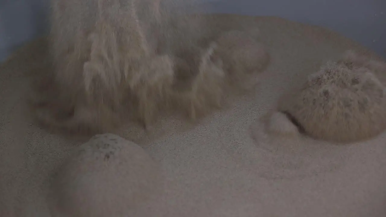 Close-up slow motion scene of fine sand being thrown into the air which is used for industrial purposes