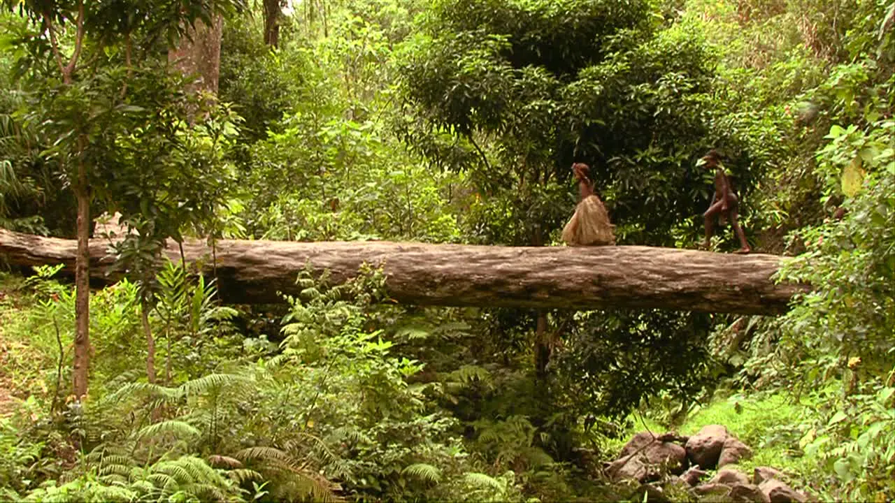 New Guine children walk across a log over a river