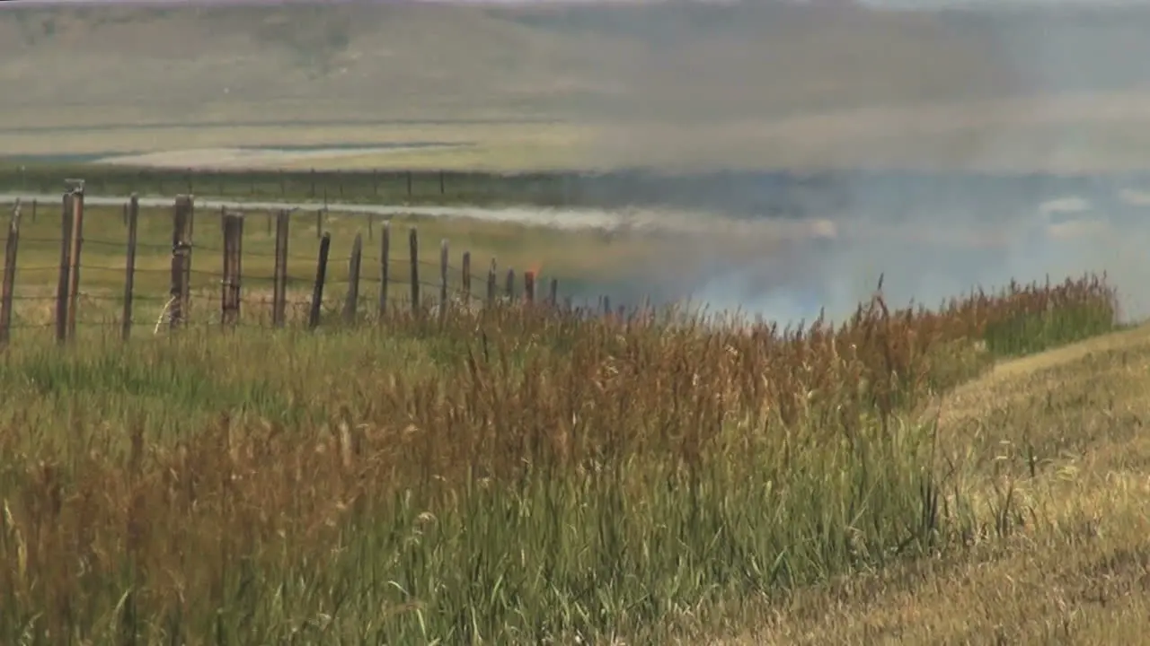 Montana grass fire and weeds s