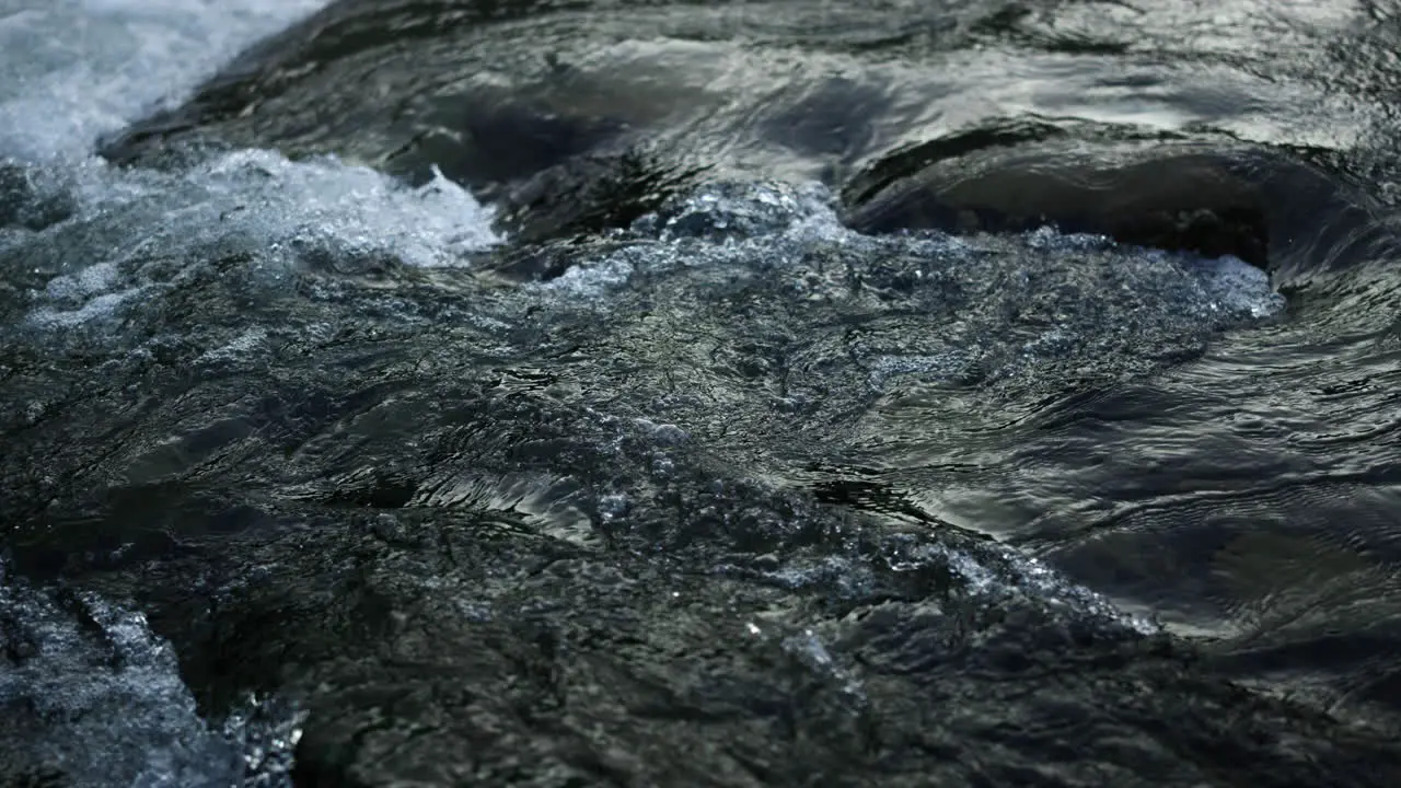 Wild stream of clear water Abundant mountain river flowing in carpathians