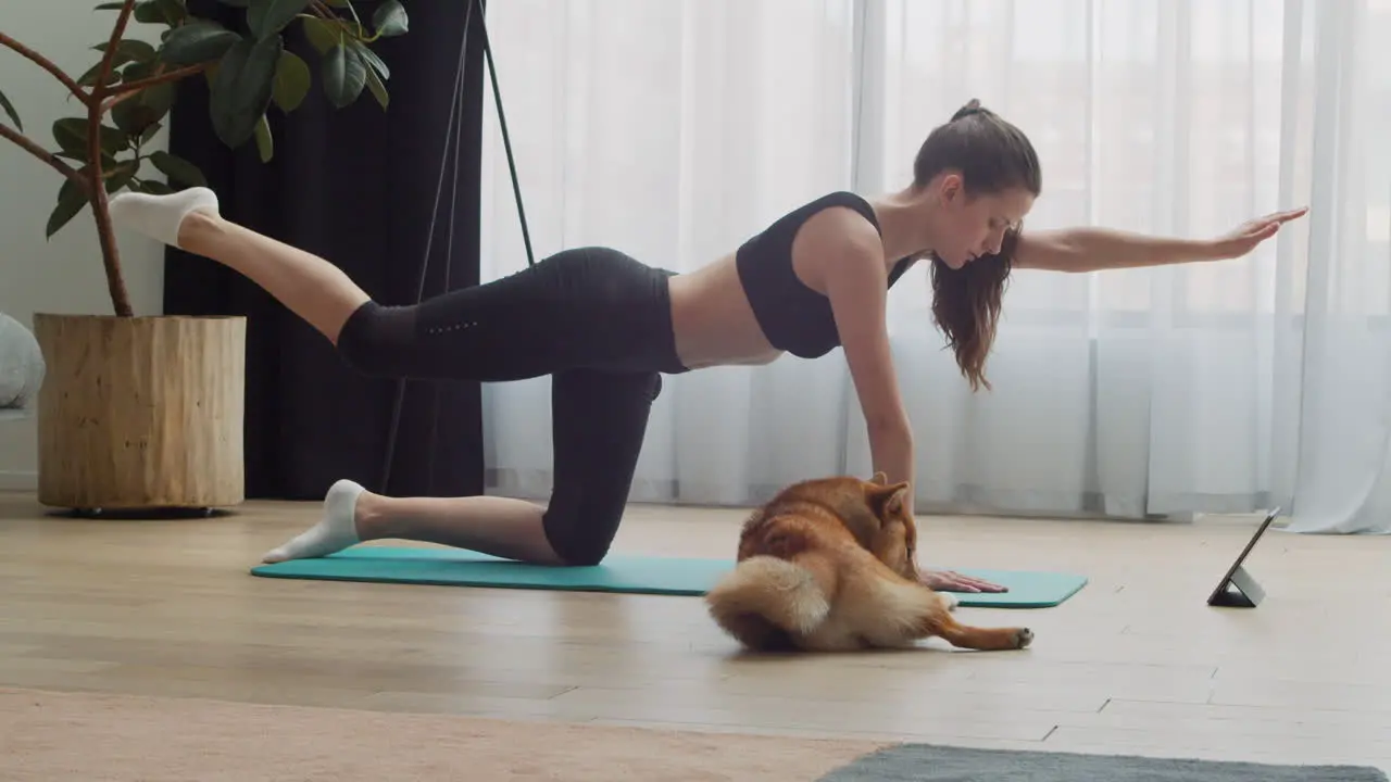 A Young Female Does Yoga With Her Dog Next To Her