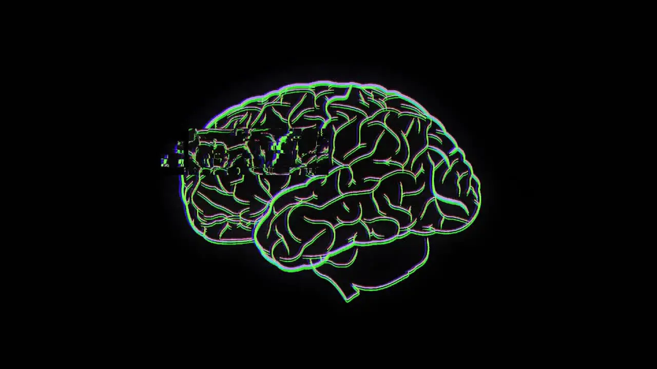 Brain on black background