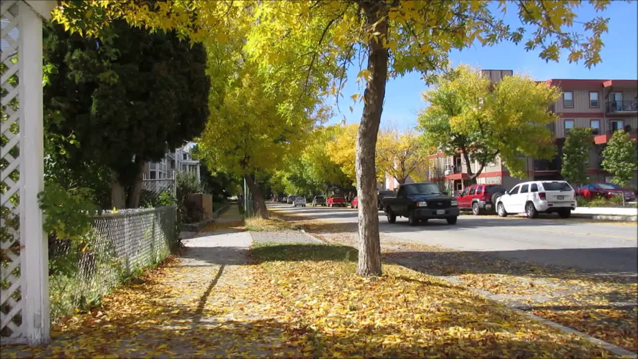 Street in the Autumn