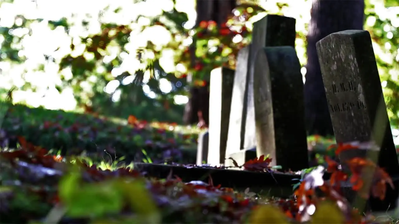 Autumn Cemetery