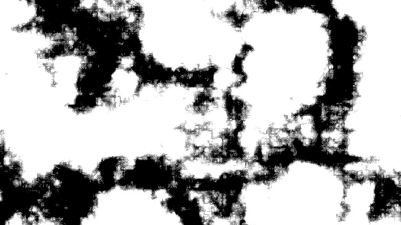 Rorschach Test Looping Background