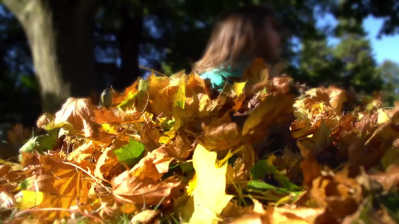 Jumping in a Pile of Leaves