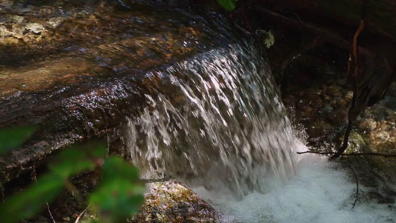 Close up of a small waterfall in a forest