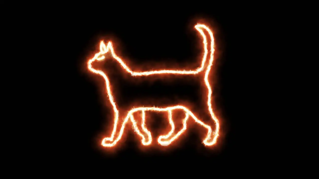 Cat outline of burning flames and cat in neon lights