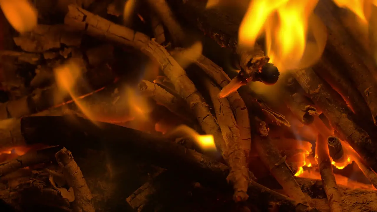 Wooden Sticks in Campfire