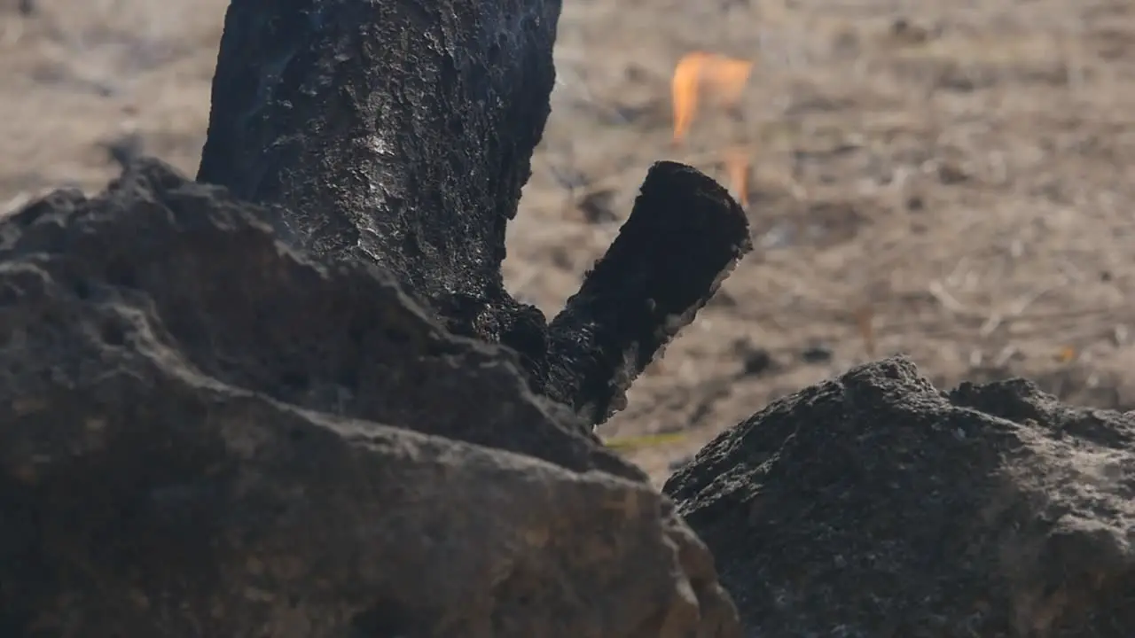 The remains of a camp fire on the beach burn with sand in the background and a large piece of wood remaining