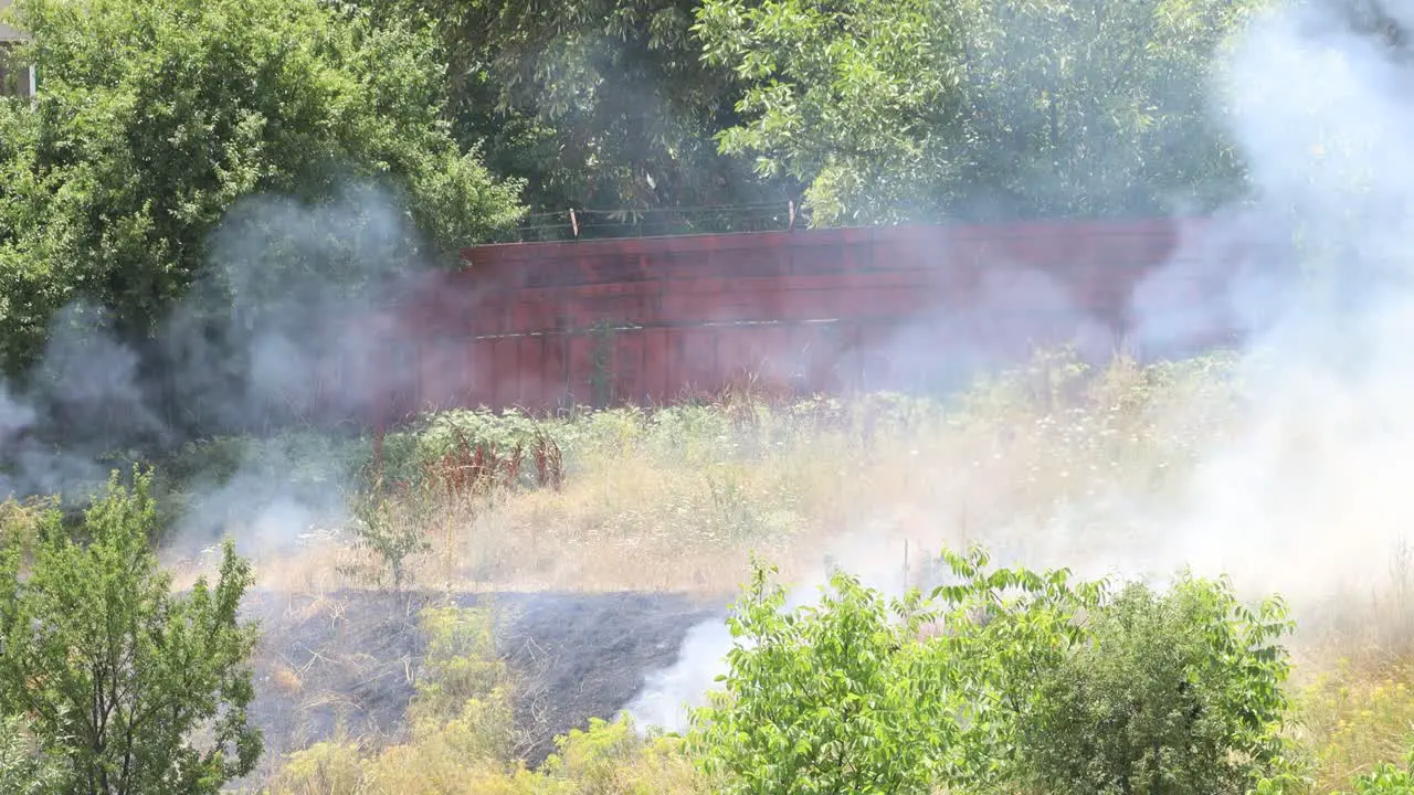 summer wildfire in a green field with trees and a tall rusty fence