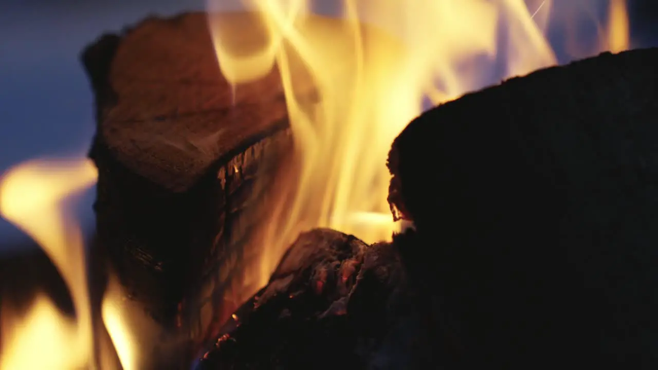 Bonfire Close Up View Of Wood Burning Fire