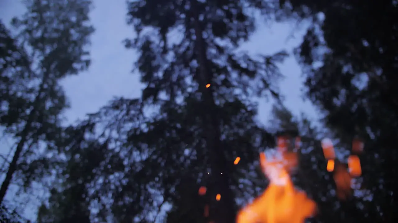 Dark evening fire with blue sky and sparkles blurry background and trees