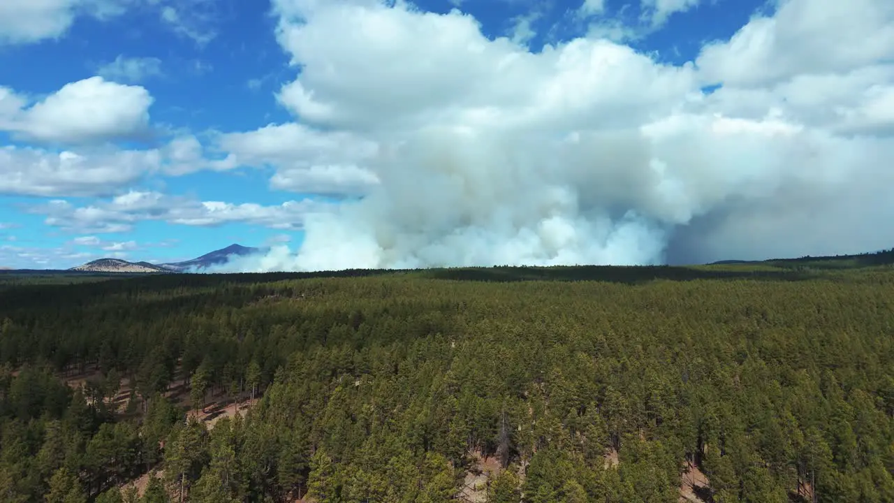 Forest fire with a big cloud of smoke close to Grand Canyon Arizona