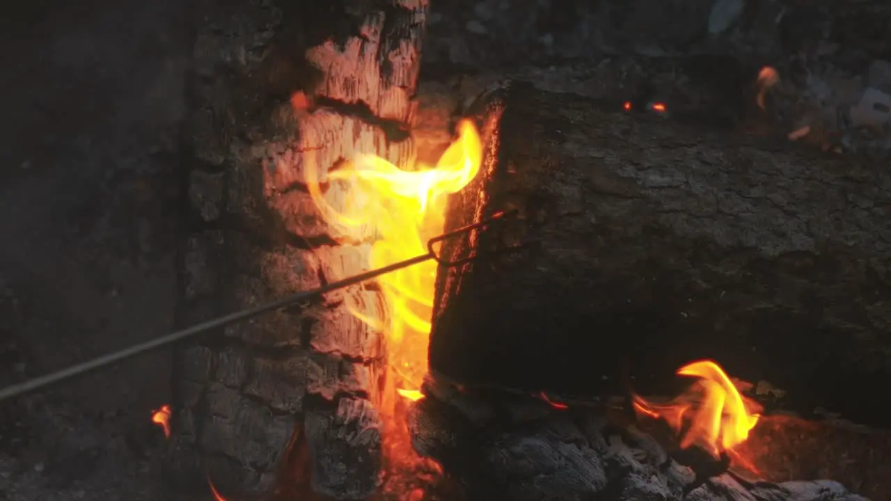 Bonfire Close Up View Of Tree Wood Burning Fire