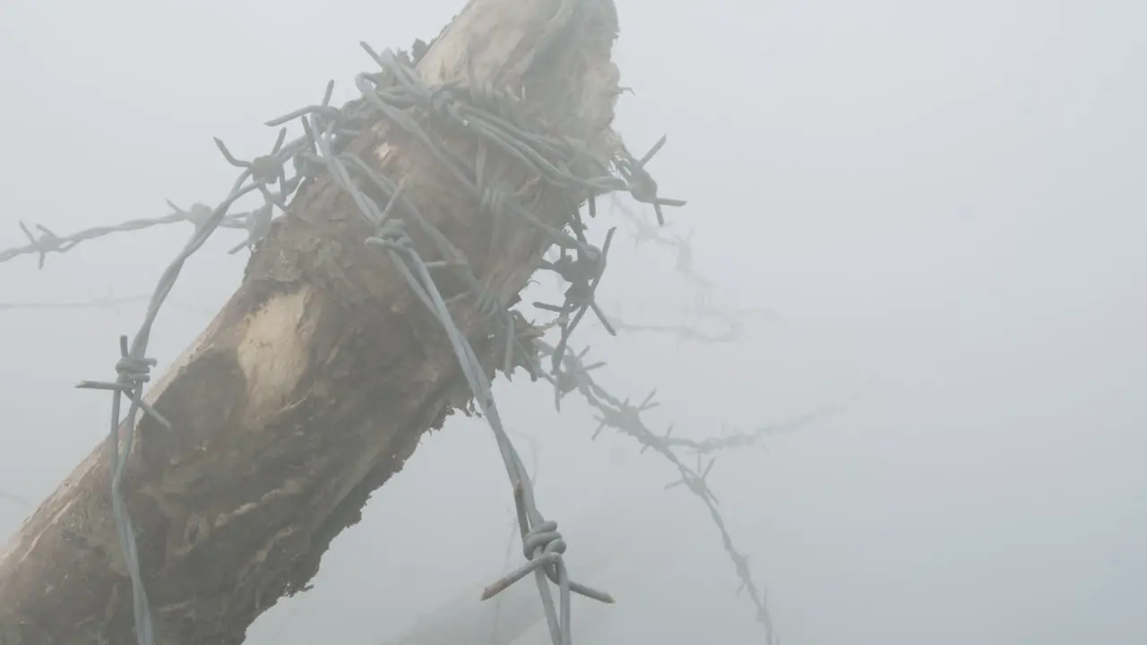 Broken pole with coiled barbed wire in the fog