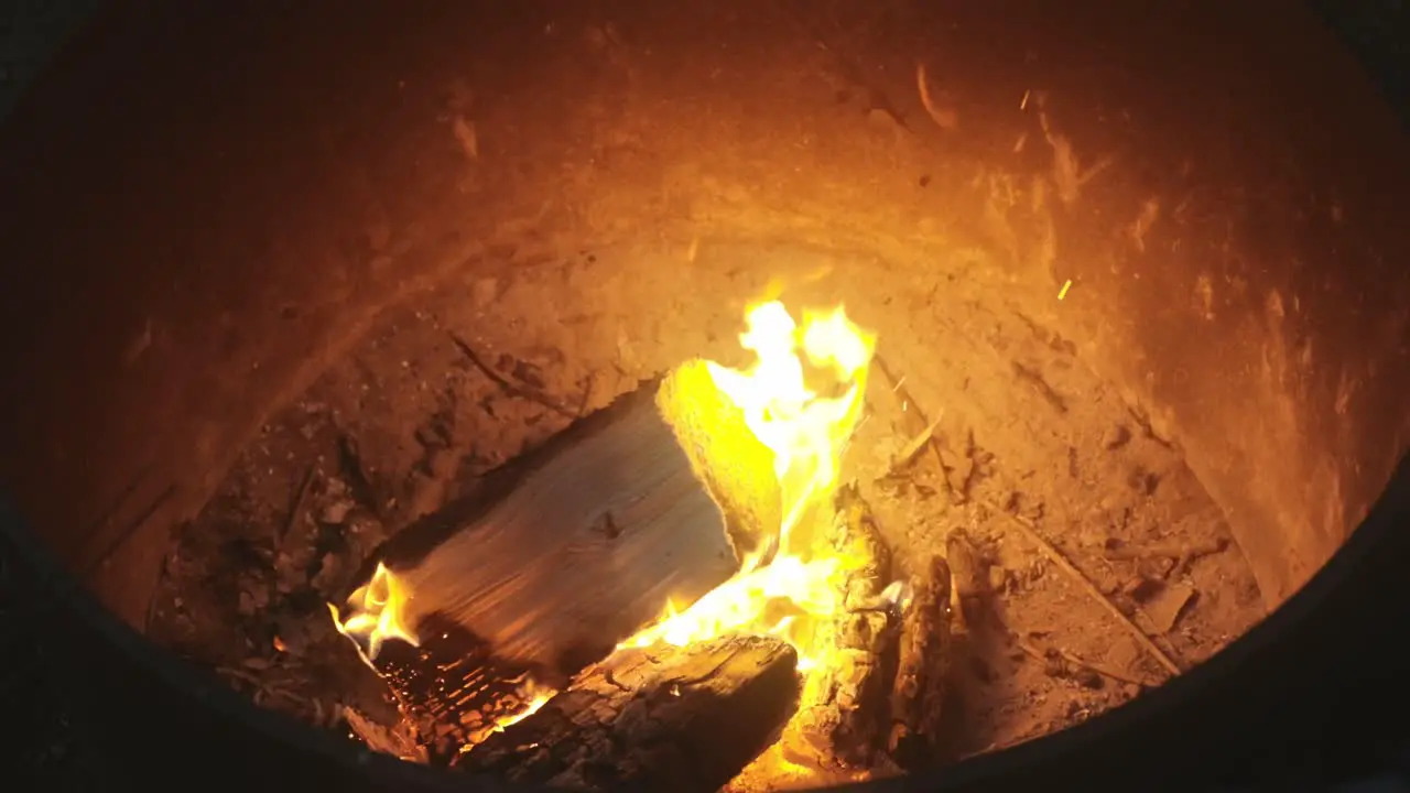 Bonfire Close Up View Of Tree Branch Burning Fire