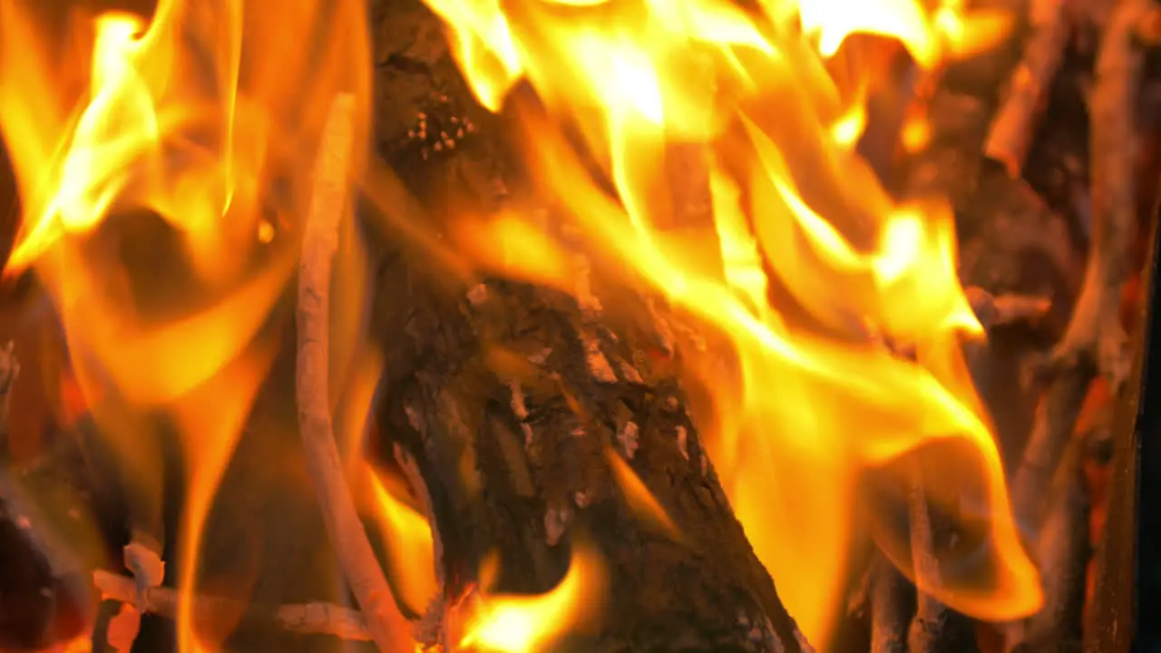 Wooden Log on Fire