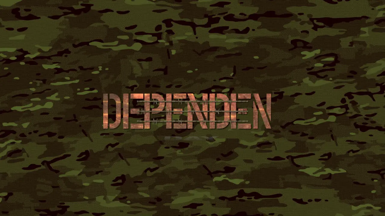 Text Independence Day on military background with green defense pattern