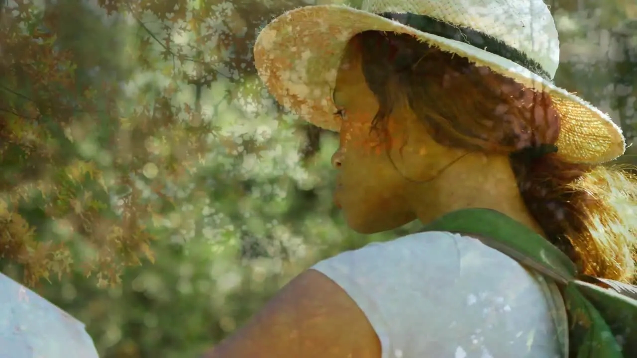 Composite video of african american woman wearing a hat smiling against tall trees